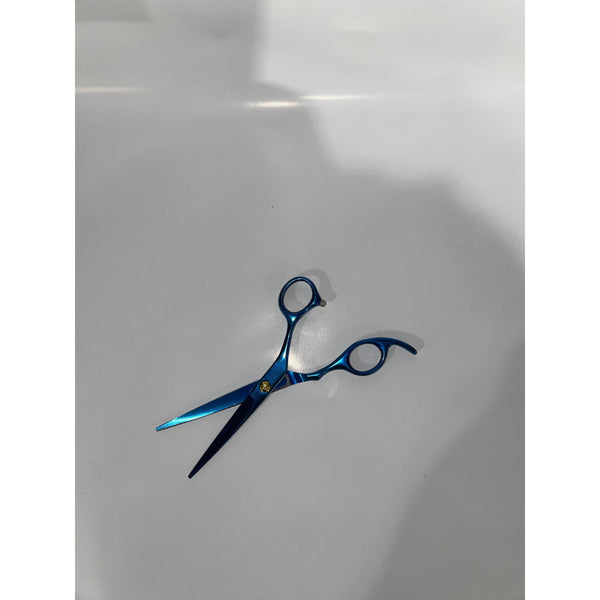 Blue 6.0" Scissor w/ Black Case